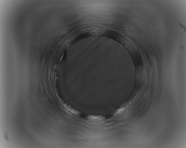 X0000097800137200804041322