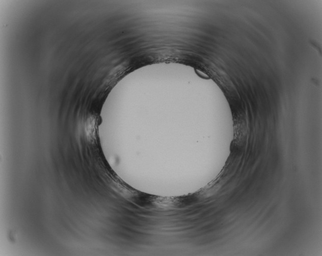 X0000097800142200804041322