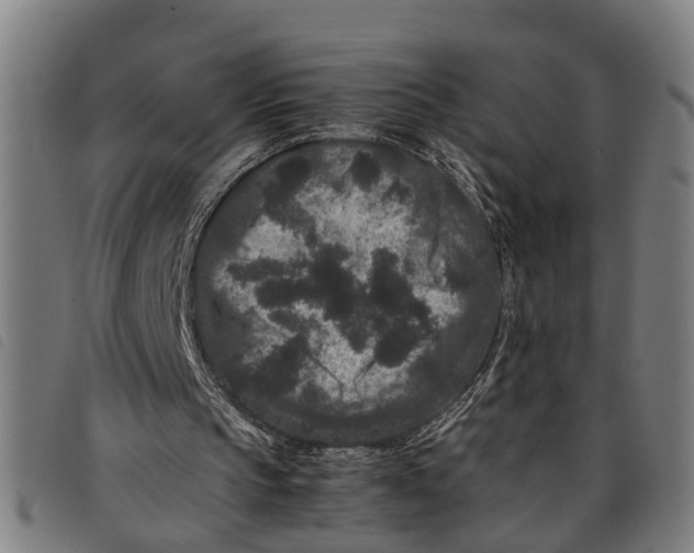 X0000097800145200804041322