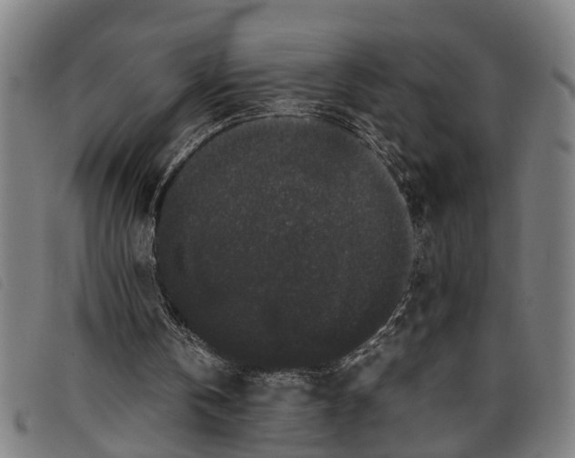 X0000097800146200804041322