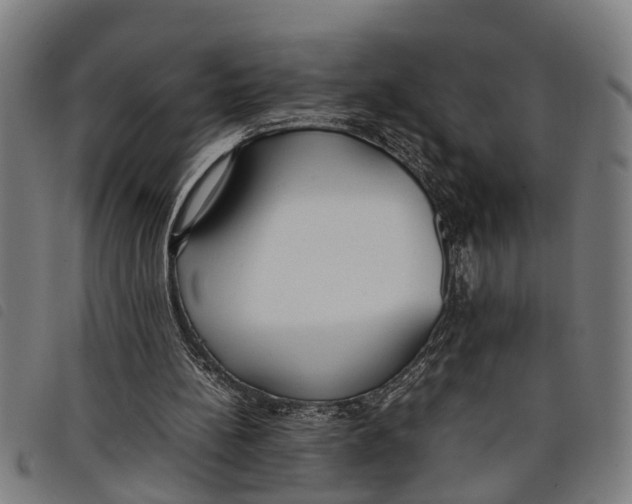 X0000097800148200804041322