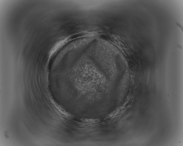 X0000097800149200804041322