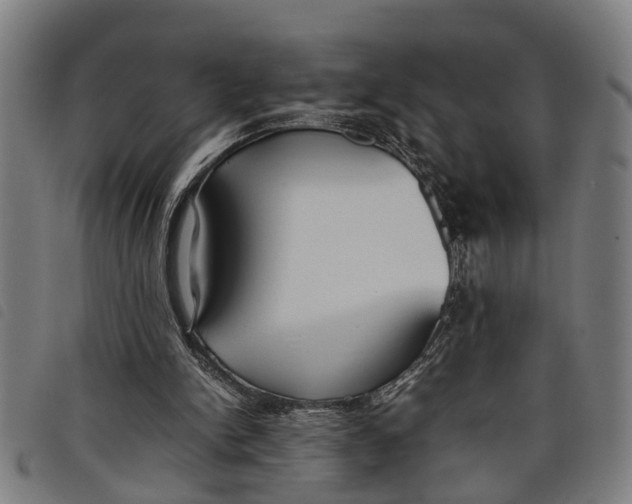 X0000097800150200804041322