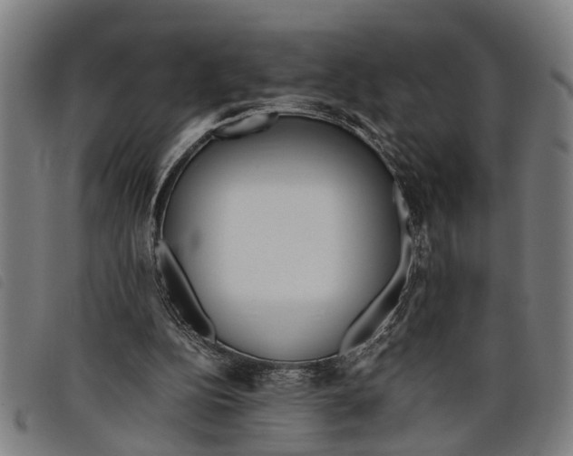 X0000097800152200804041322