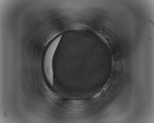 X0000097800154200804041322