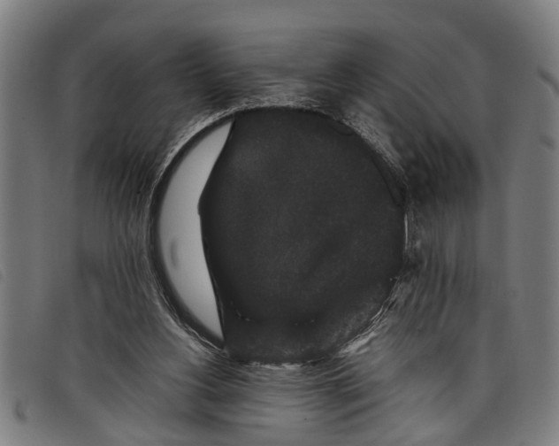 X0000097800156200804041322