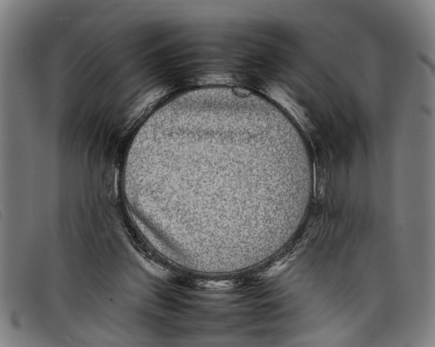 X0000097800157200804041322