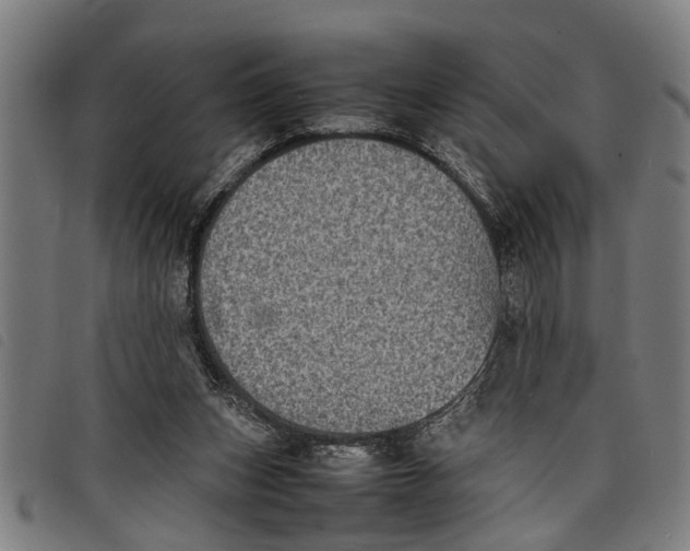 X0000097800159200804041322