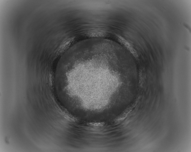 X0000097800161200804041322