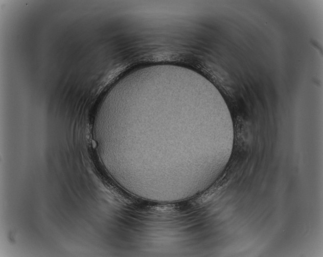 X0000097800164200804041322