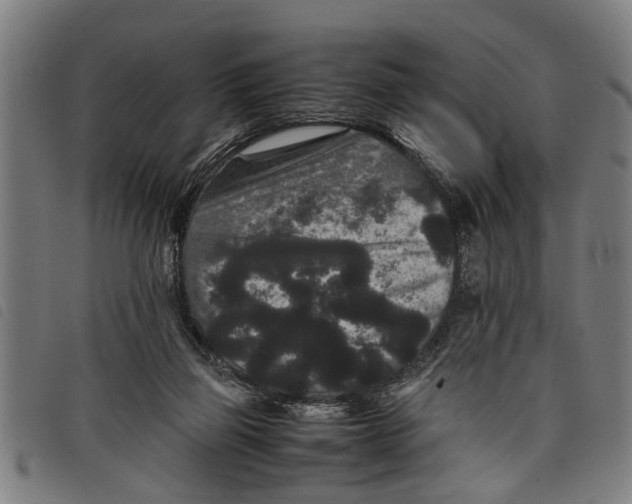 X0000097800165200804041322