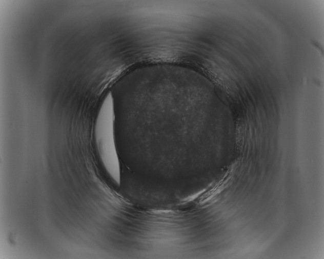 X0000097800168200804041322