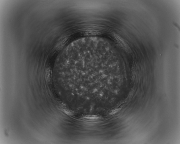 X0000097800169200804041322