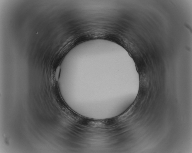 X0000097800170200804041322