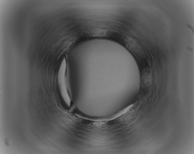 X0000097800172200804041322