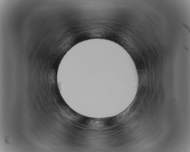 X0000097800174200804041322