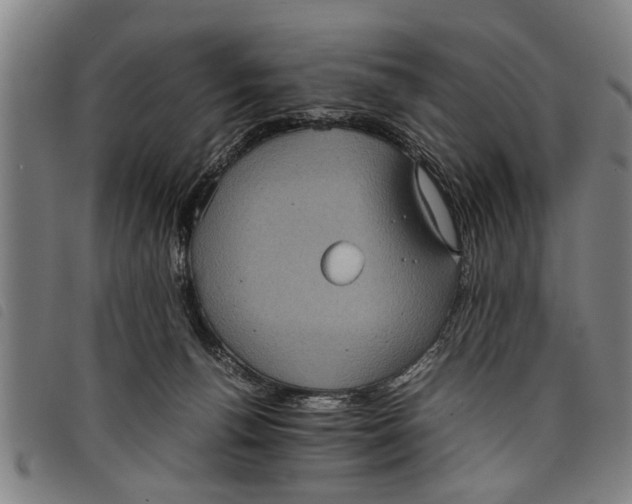 X0000097800176200804041322