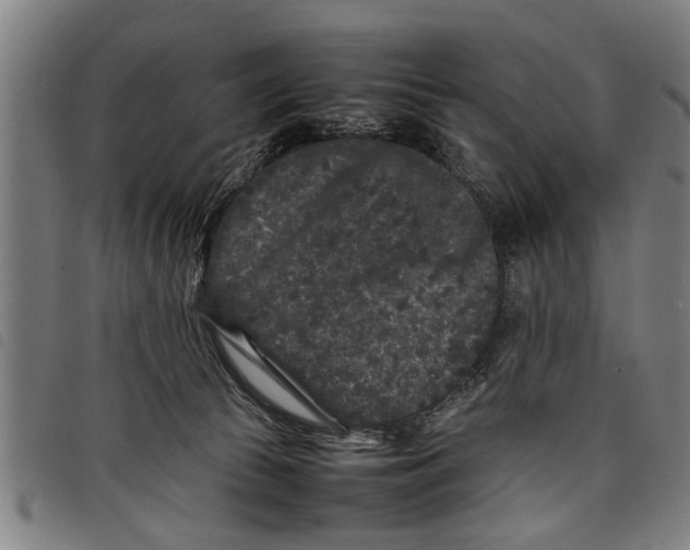 X0000097800177200804041322