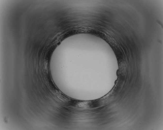 X0000097800178200804041322