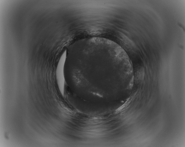 X0000097800180200804041322