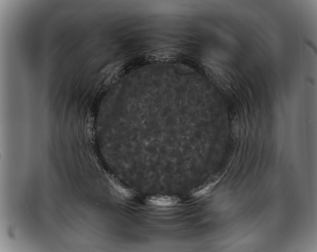 X0000097800181200804041322