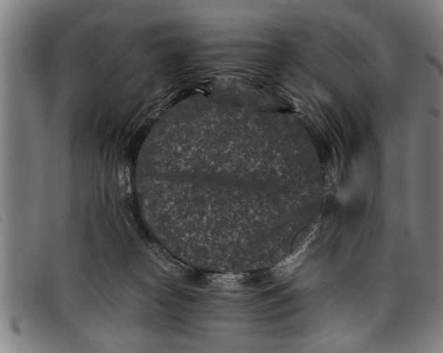 X0000097800182200804041322