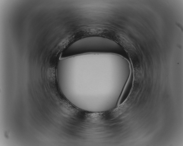 X0000097800184200804041322