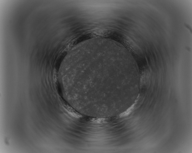 X0000097800186200804041322