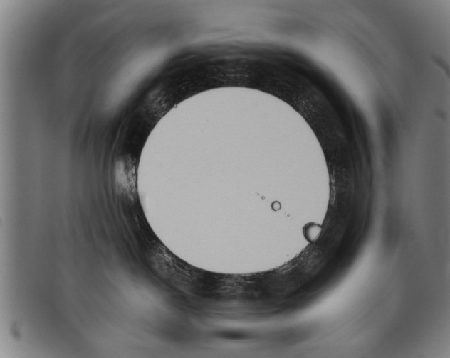 X0000097800190200804041322