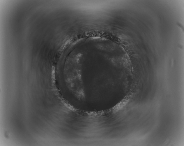 X0000097800192200804041322