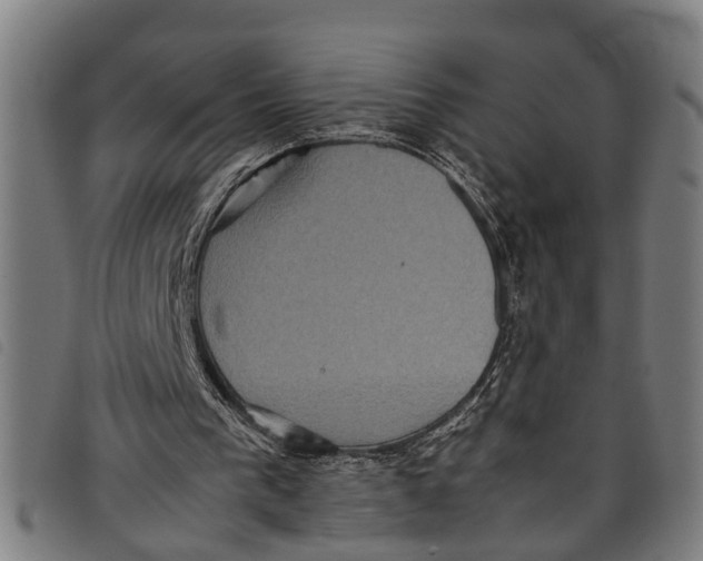 X0000097800193200804041322