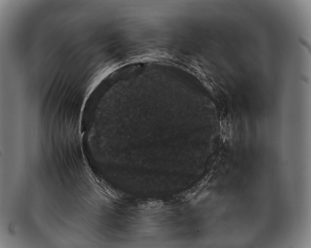 X0000097800196200804041322