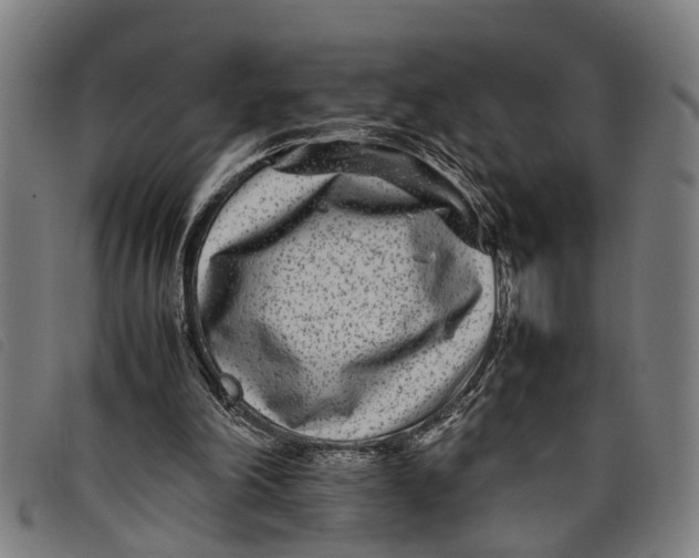 X0000097800198200804041322