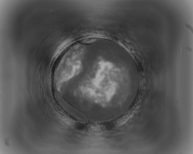 X0000097800199200804041322