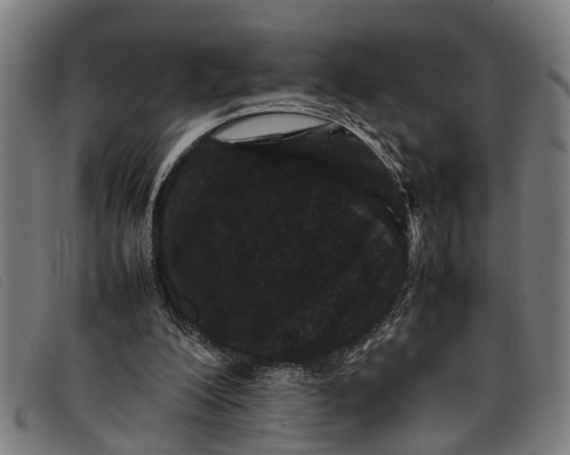 X0000097800200200804041322