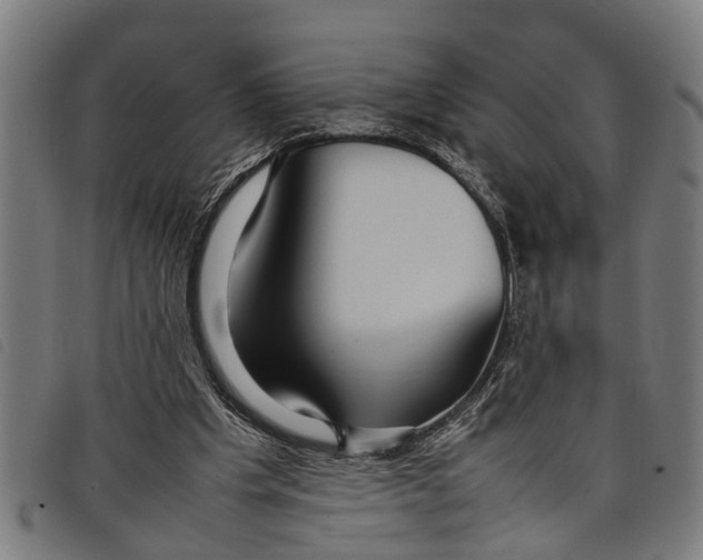 X0000097800201200804041322