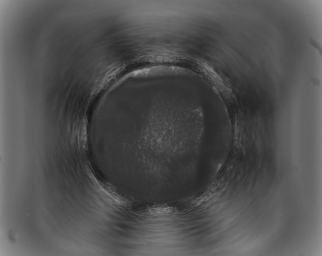 X0000097800202200804041322