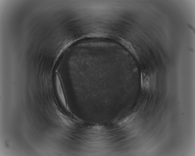 X0000097800204200804041322