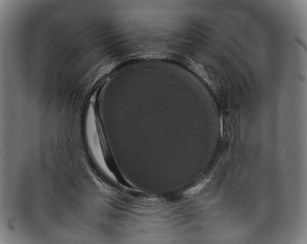 X0000097800205200804041322