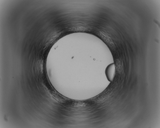 X0000097800206200804041322