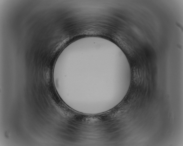 X0000097800208200804041321