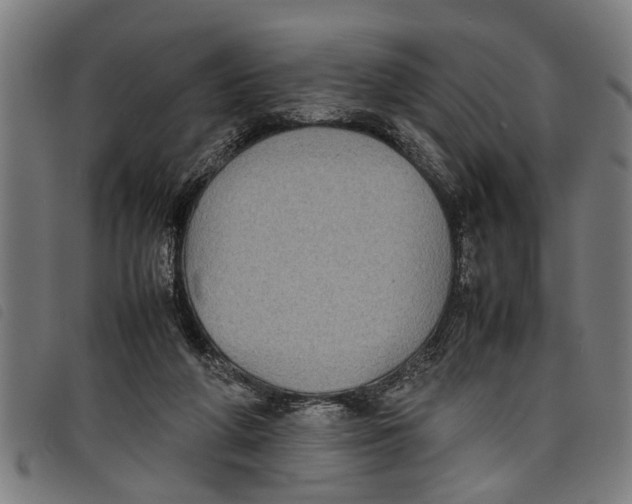 X0000097800210200804041321