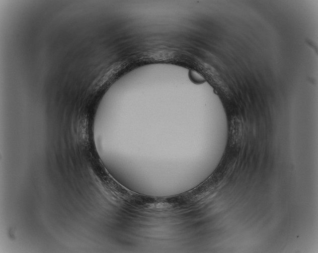 X0000097800212200804041321