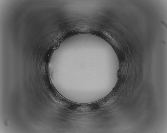 X0000097800213200804041321