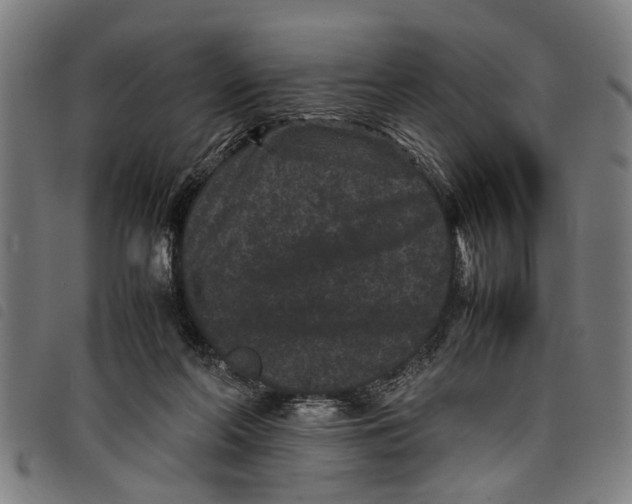 X0000097800214200804041321