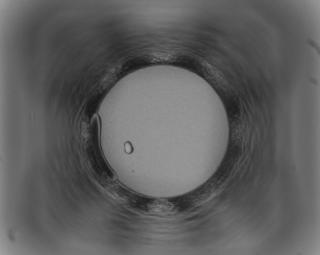 X0000097800215200804041321