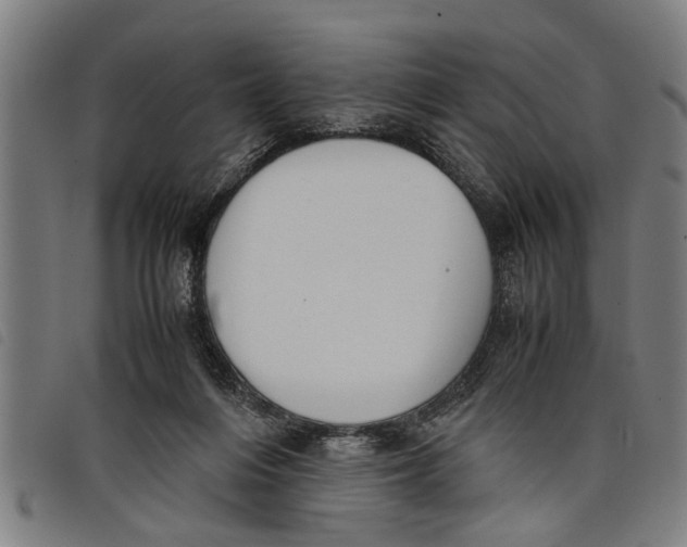 X0000097800216200804041321