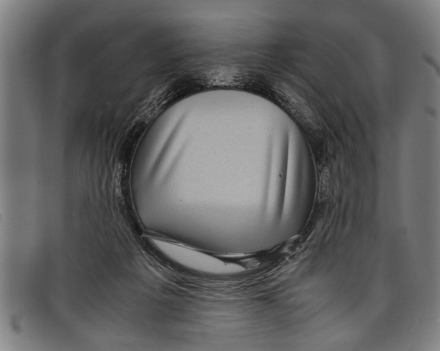 X0000097800217200804041321