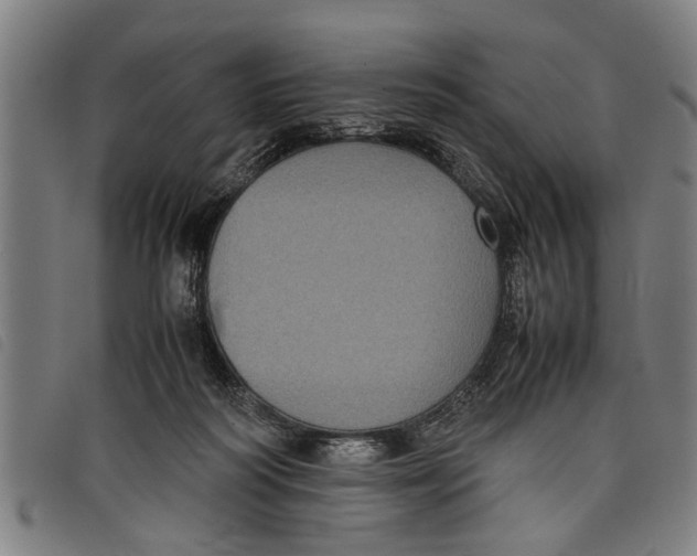 X0000097800218200804041321