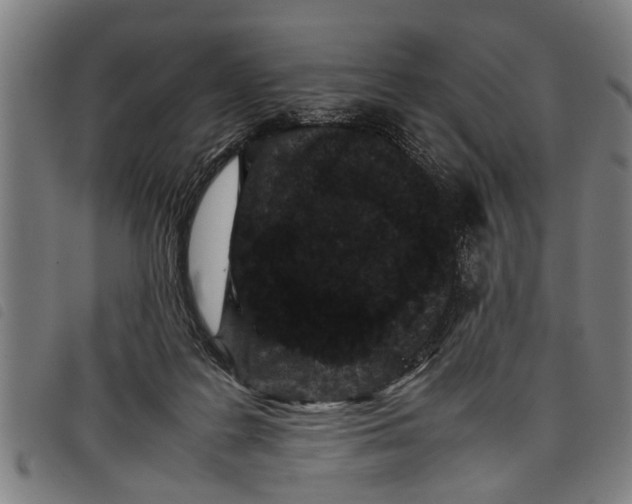 X0000097800219200804041321